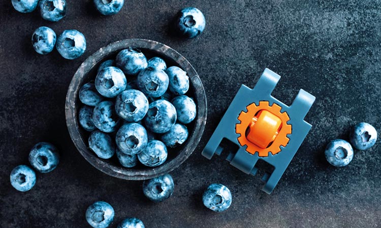 Katena Stahlgelenketten